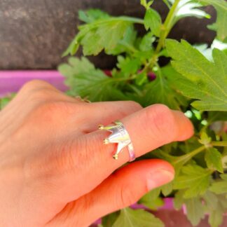 Anillo corona princesa de plata 925 y double